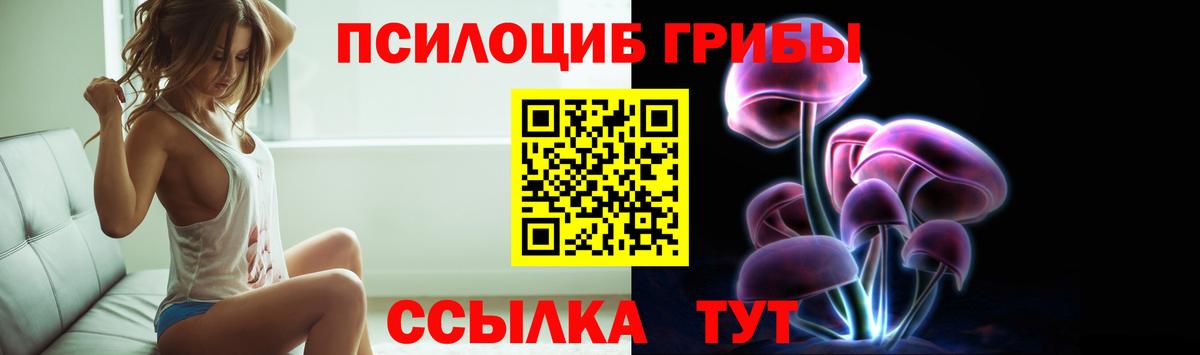Канск  Псилоцибиновые грибы MAGIC MUSHROOMS  Вход с VPN 